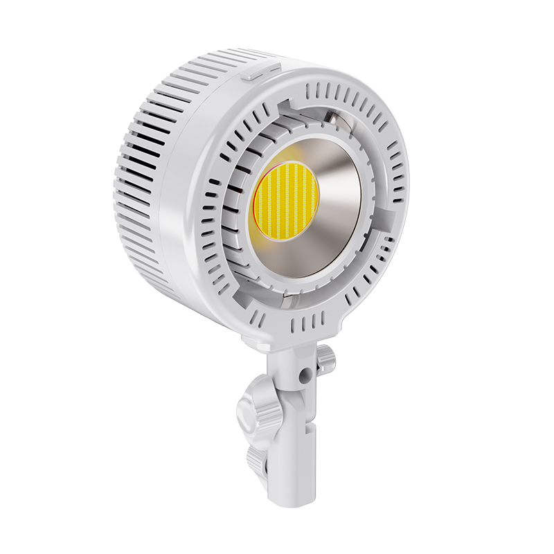 Luz LED COB de Doble Color R20 - Photography Lighting For Clothing reseña y precio